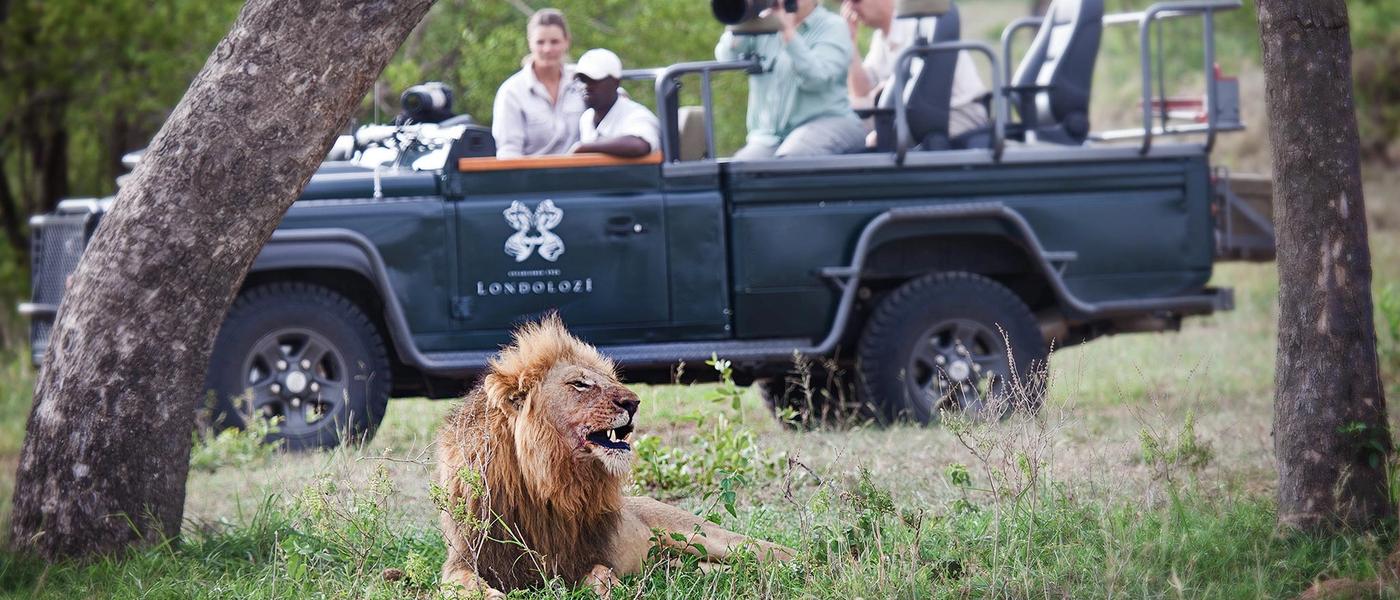 Die besten Safari-Aktivitäten im Krüger Nationalpark