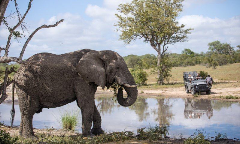 Was ist der Unterschied zwischen Krüger Nationalpark und privaten Reservaten?