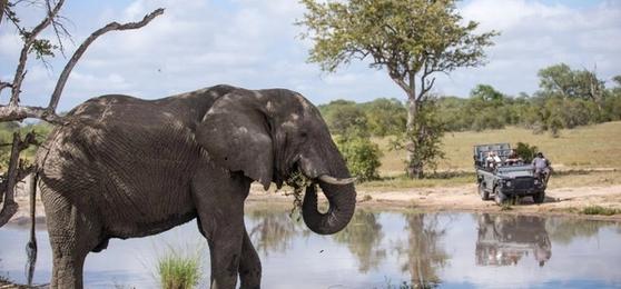 Was ist der Unterschied zwischen Krüger Nationalpark und privaten Reservaten?