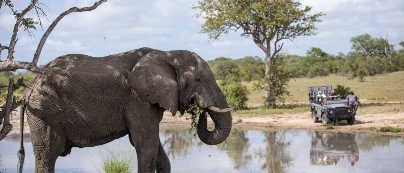 Was ist der Unterschied zwischen Krüger Nationalpark und privaten Reservaten?