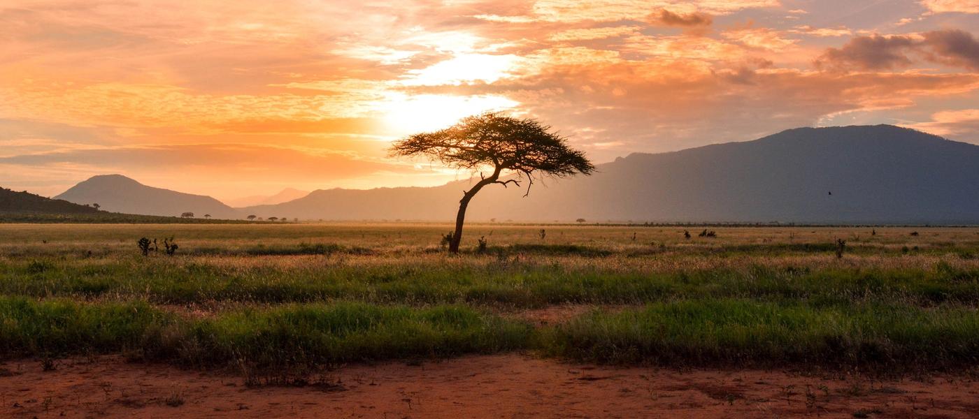 5 Raisons de visiter l'Afrique du Sud en 2024