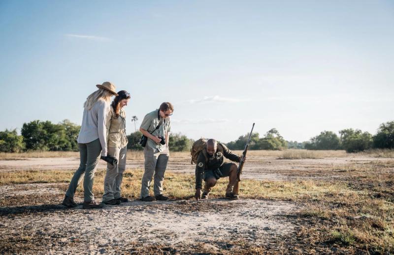 A ranger kneels to examine animal tracks while guests observe closely, highlighting hands-on conservation within destinations for responsible travel.
