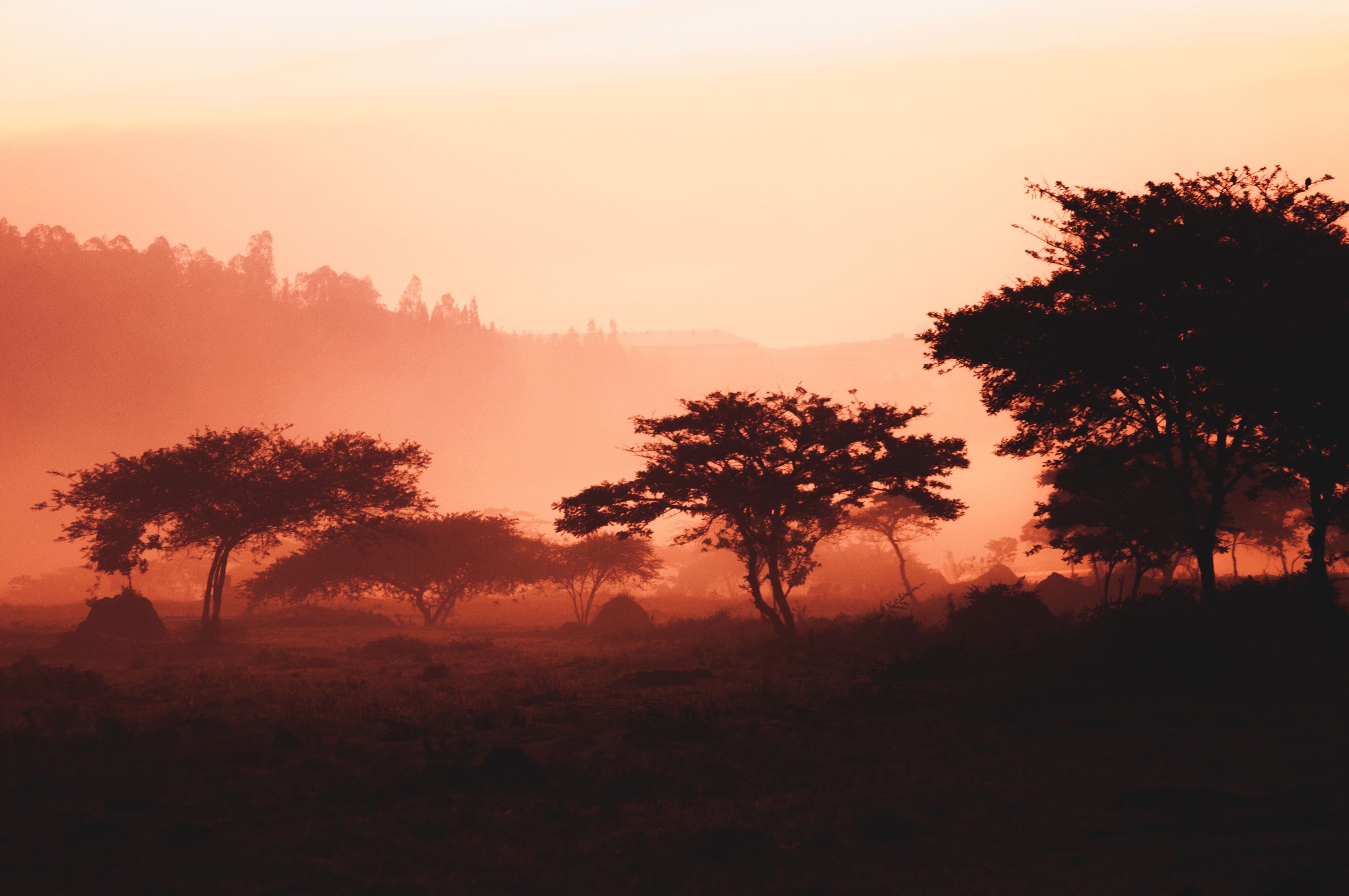 The Most Underrated Destinations in Rwanda