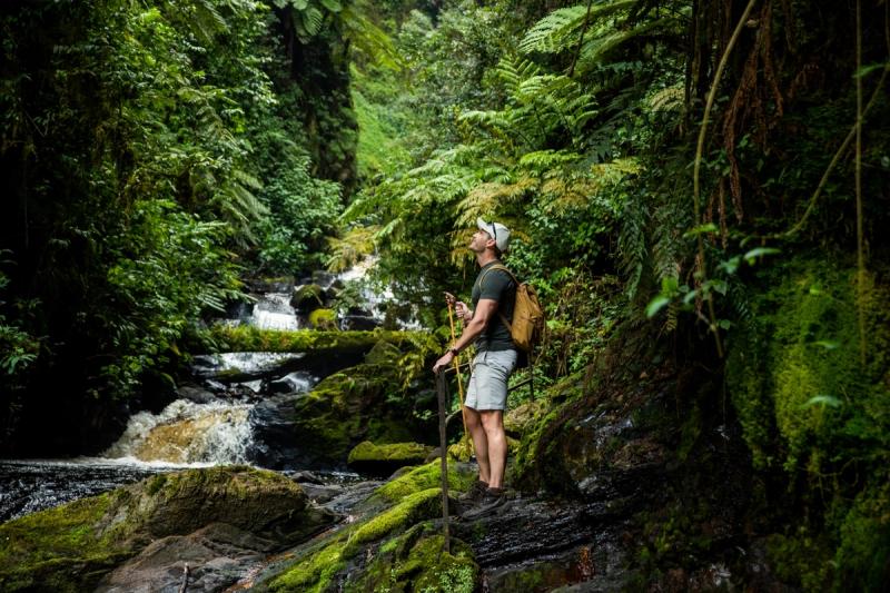 Nyungwe Forest National Park