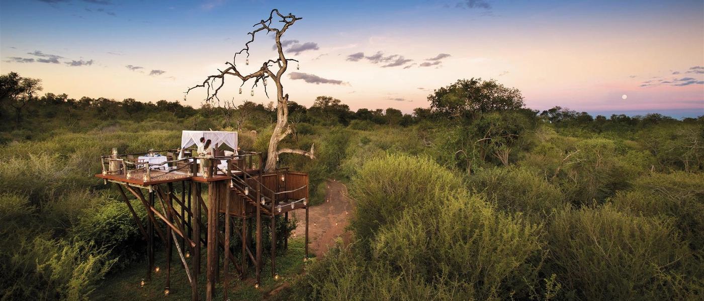 Incríveis lodges de safári para se hospedar no Kruger Park