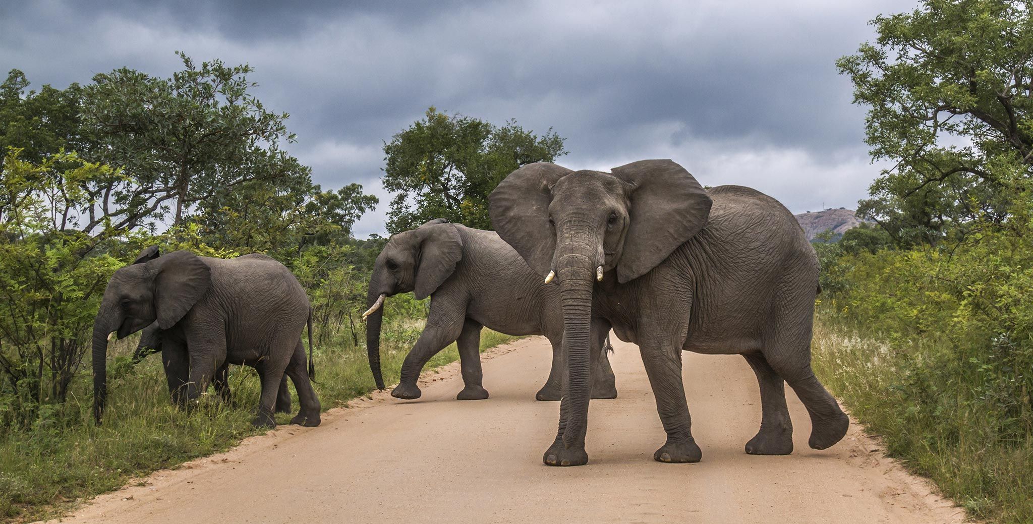Is It Safe to Travel to South Africa Right Now?