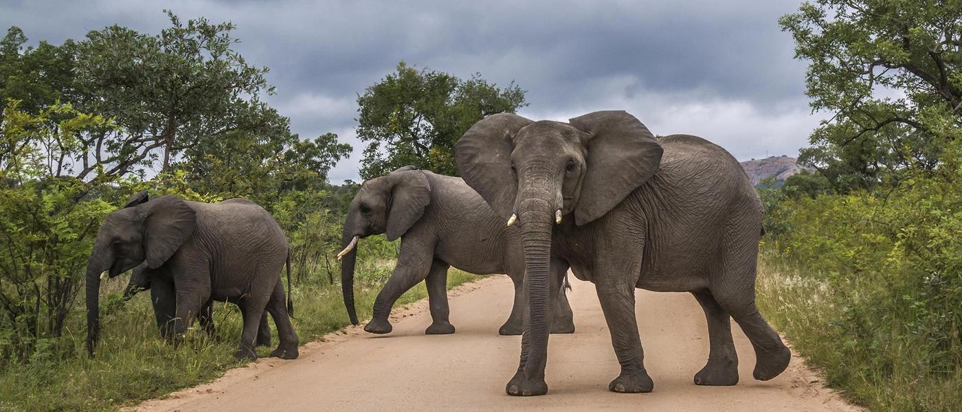 Is It Safe to Travel to South Africa Right Now?