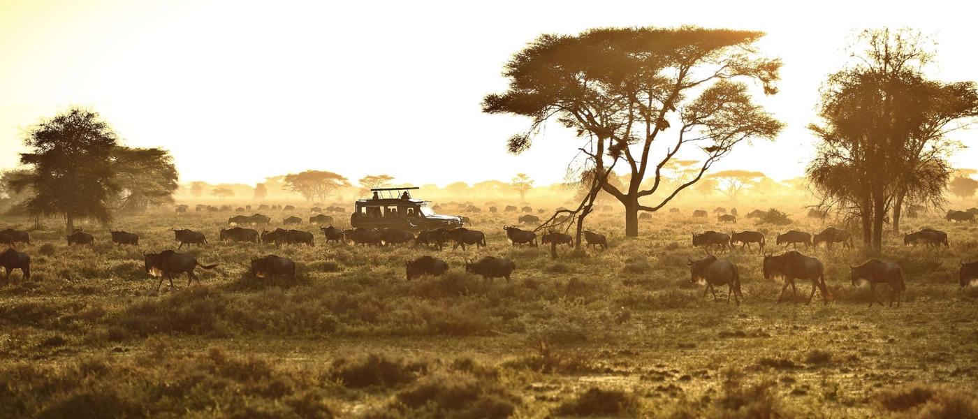 Best Time to Visit Tanzania: A Month-by-Month Guide to the Moments That Matter