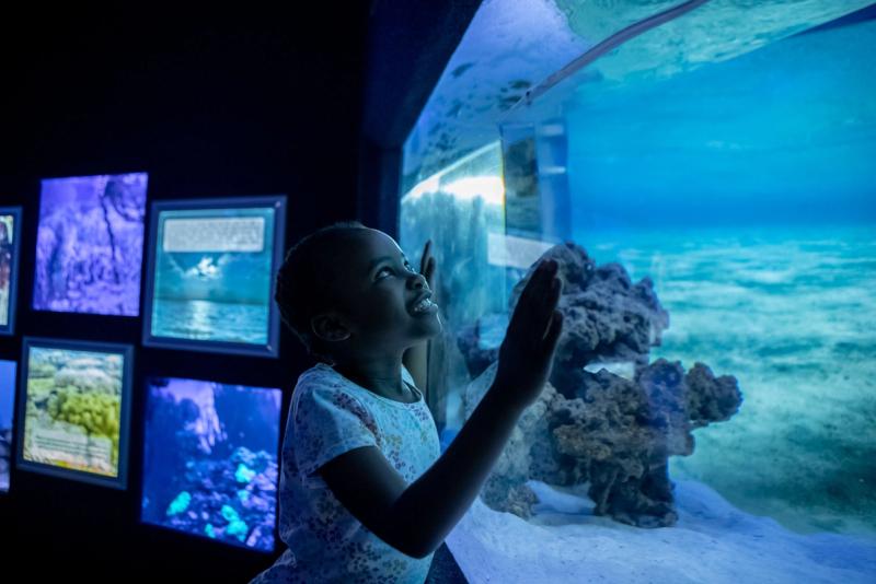 A smiling tween gazes into a glowing aquarium tank, illustrating how the best destinations for kids can spark awe while offering safe independence.