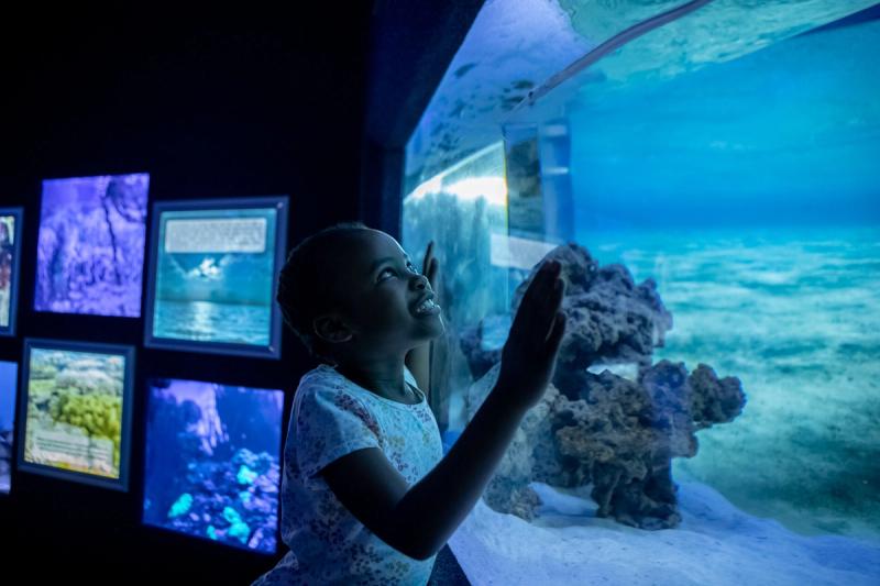 A smiling tween gazes into a glowing aquarium tank, illustrating how the best destinations for kids can spark awe while offering safe independence.