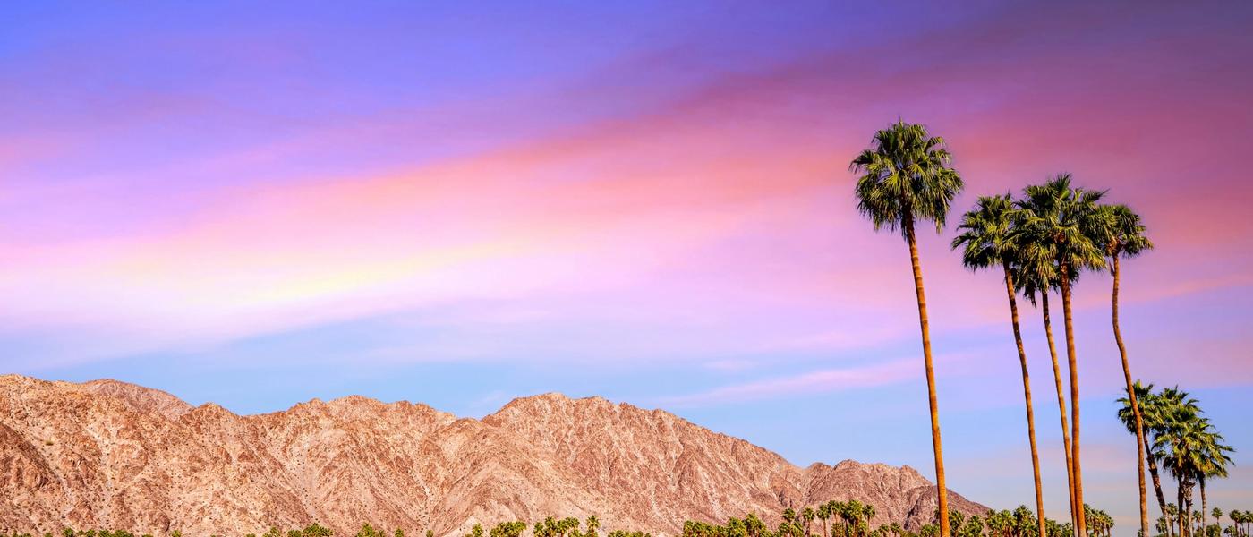 From the Desert With Pride: Rhino Africa at IGLTA Palm Springs