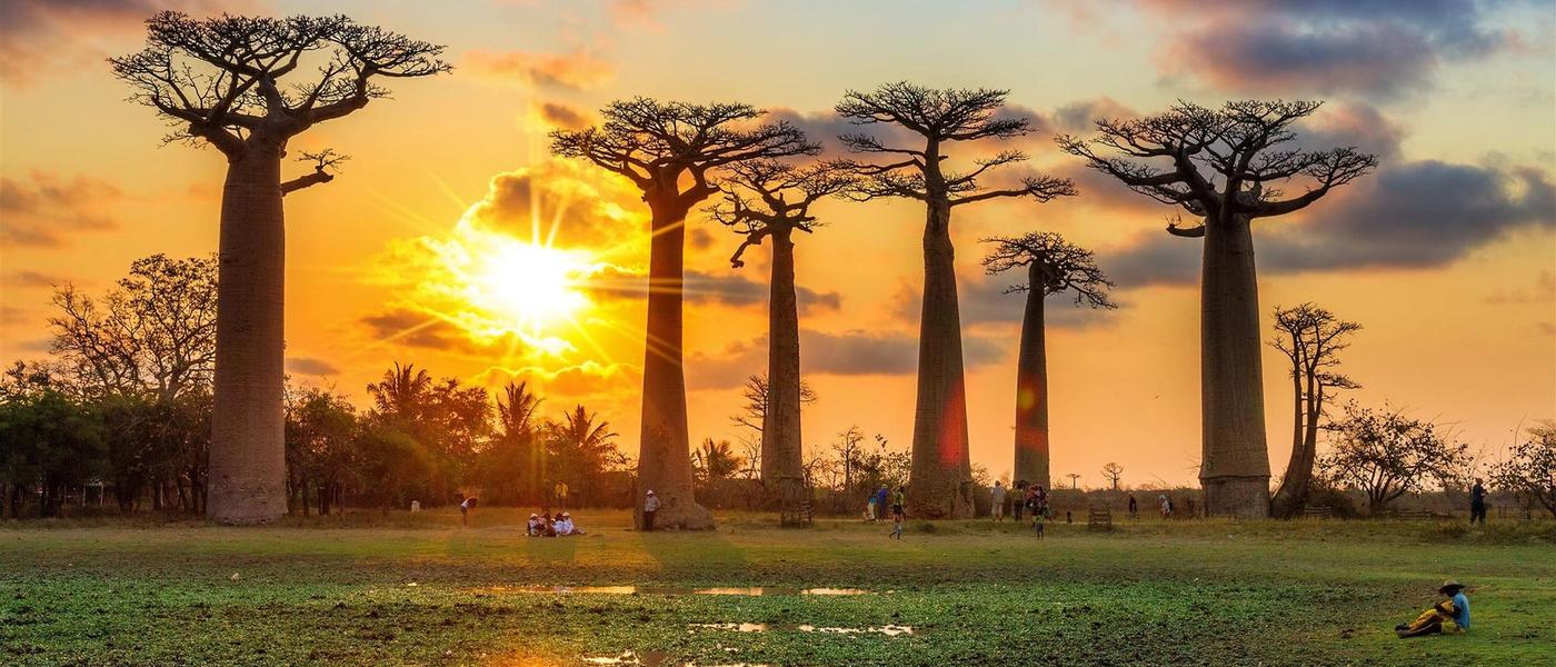 5 Reasons Why You Should Make Madagascar Your Next Holiday