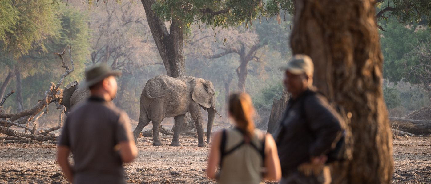 Where to Go on Safari in August: Best African Destinations