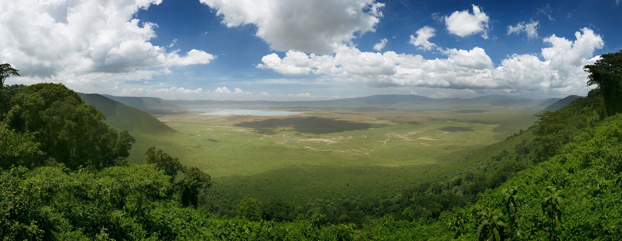 Tanzania: The closest Thing You'll Get to the Lion King