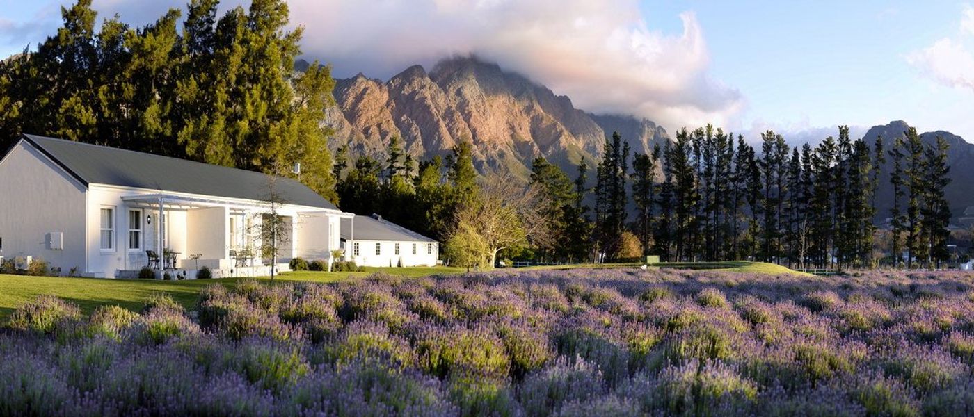 Comme un air de provence à Franschhoek