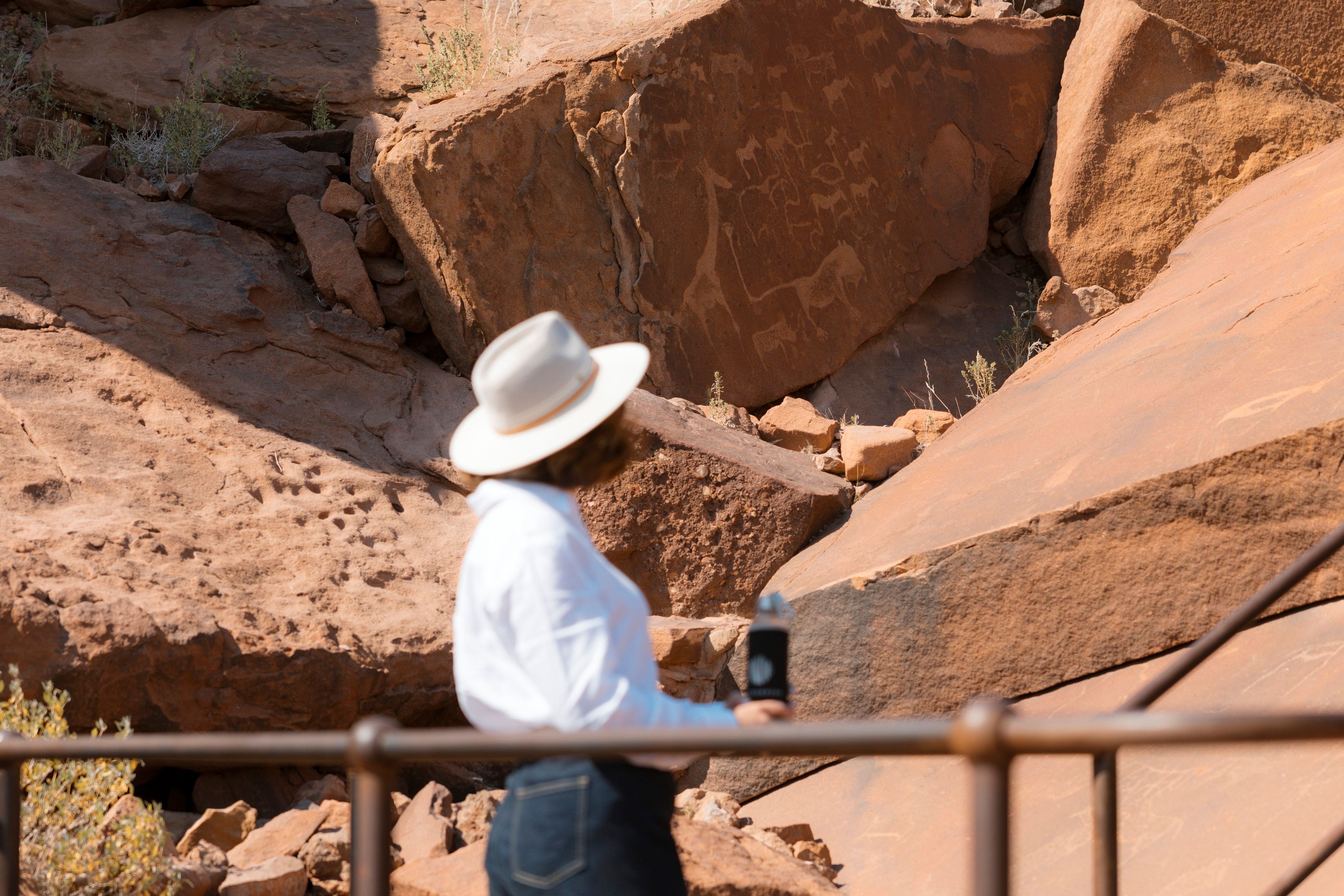 A Silent Safari in Africa: Kruger, Namibia, Rwanda and Seychelles