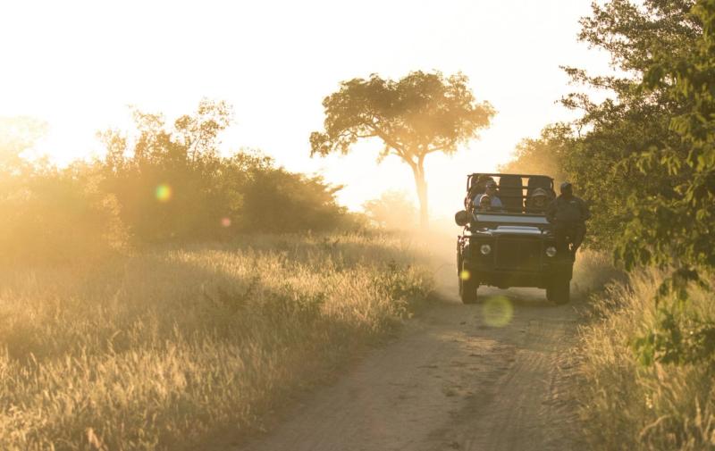 Erfahren Sie alles über eine Safari im Krüger Nationalpark vs privaten Reservaten in der Region
