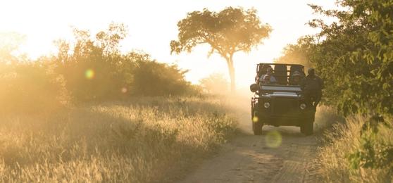 24 Stunden auf Safari: Ihr Tagesablauf im Reich der Big Five