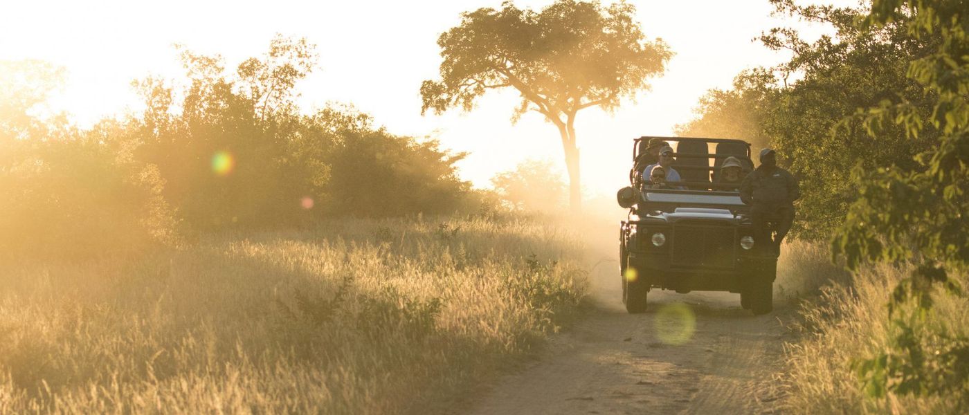 24 Stunden auf Safari: Ihr Tagesablauf im Reich der Big Five