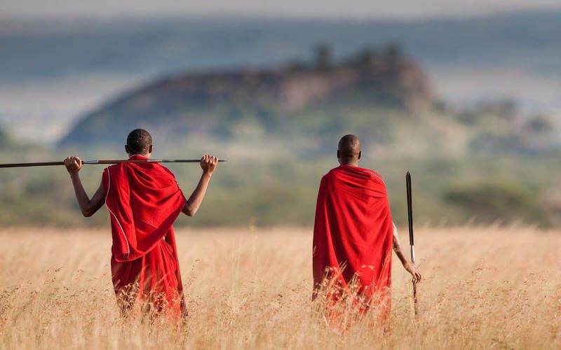 The Maasai are not only native to this land but also its caretakers