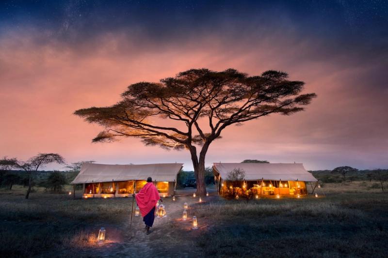 A Maasai guide walks along a lantern-lit path towards a luxury mobile safari camp set under a large acacia tree at sunset.
