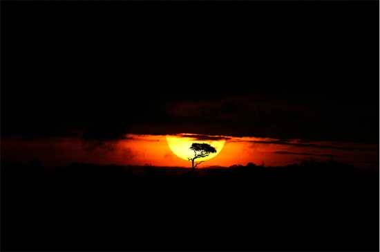 Africa through the lens of Mario Moreno 