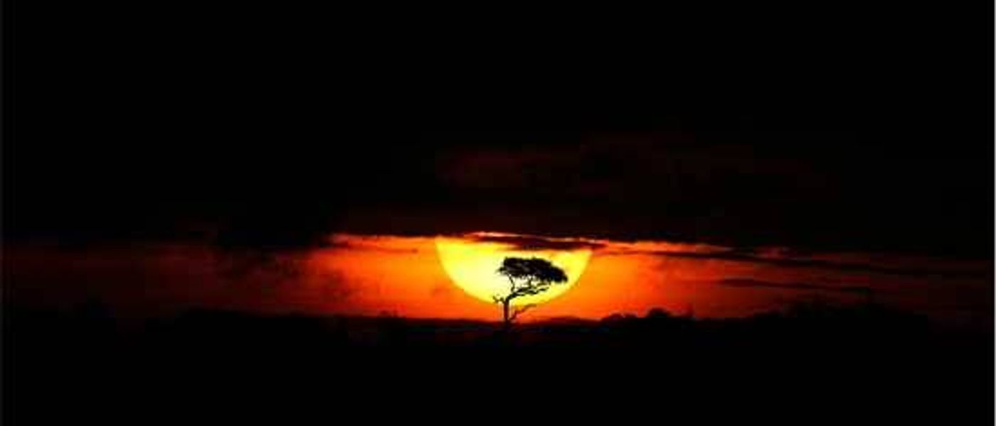 Africa through the lens of Mario Moreno