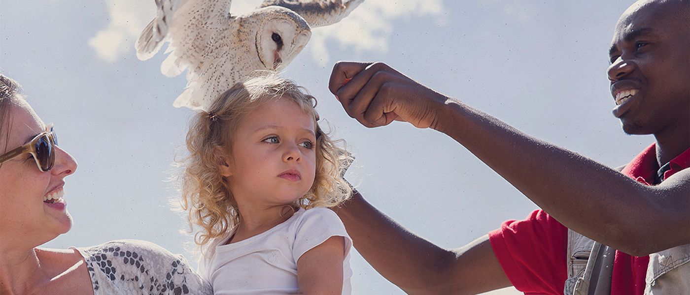 Fun Activities For Children In Cape Town