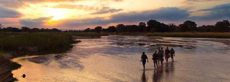 South Luangwa National Park