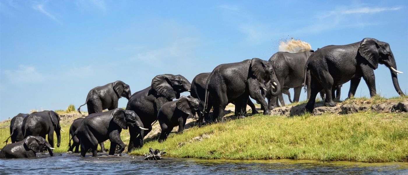 8 Gründe, in der Green Season nach Botswana zu reisen
