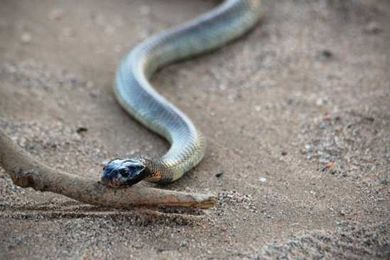 Namibia's Damaraland - watch your step!