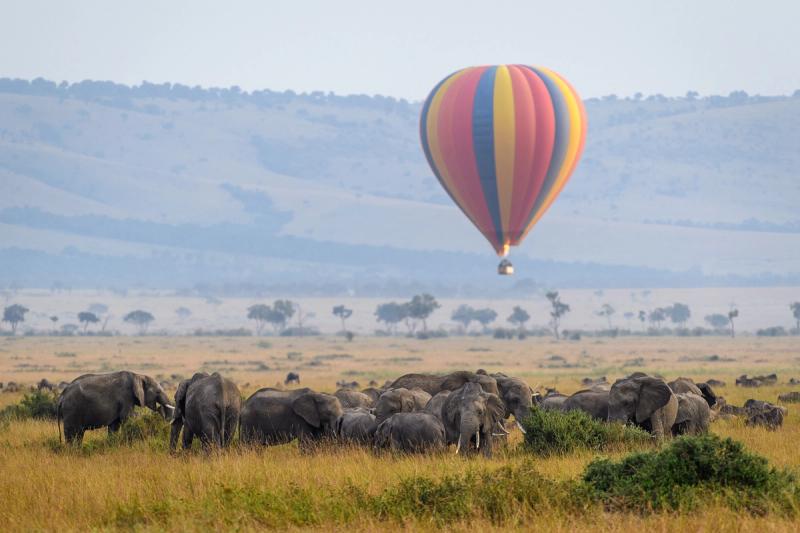 Hot air balloon safari with Governors' Camp Collective over the Masai Mara