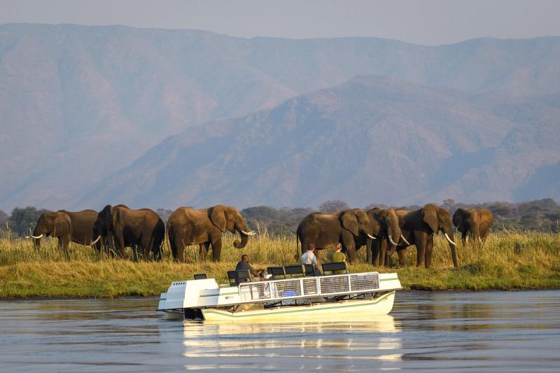 River cruise on the Zambezi River with elephants on land