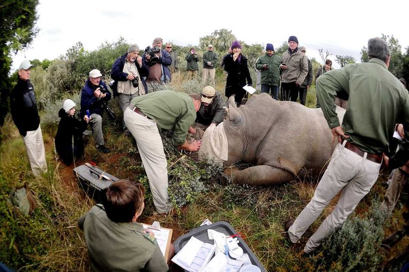 Viajar impacta directamente en la proyección de nuestros espacios naturales y animales salvajes