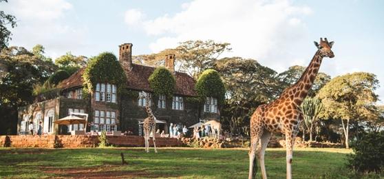 Experiences for an African Safari Connoisseur