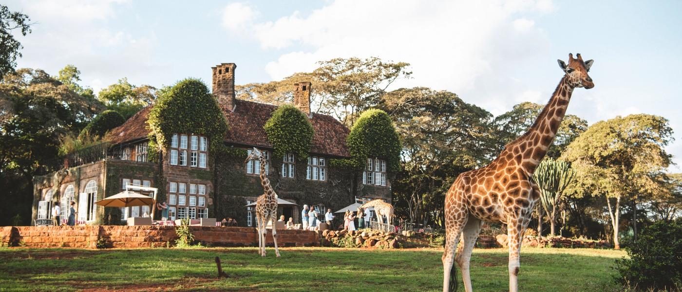 Experiences for an African Safari Connoisseur