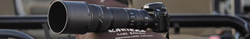 Un lente telefoto es muy útil para fotografiar animales salvajes