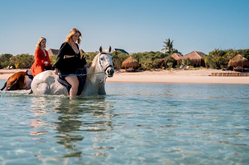 Horse riding in the shallows of the shoreline