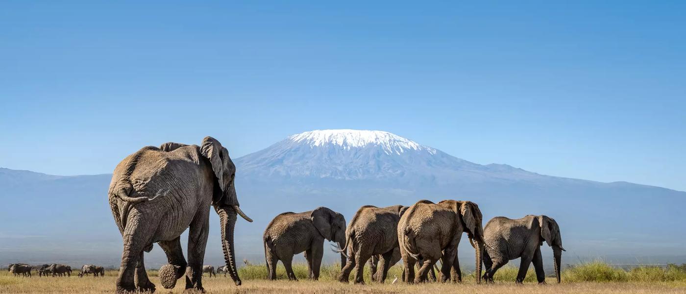 The Best Destinations To Visit in East Africa