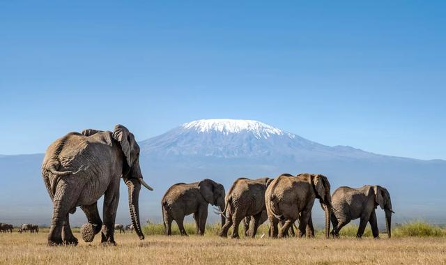 The Best Destinations To Visit in East Africa