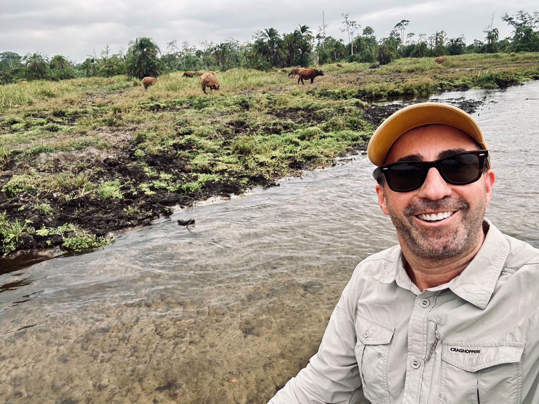 Wild Heart of the Congo: My Odzala-Kokoua National Park Adventure