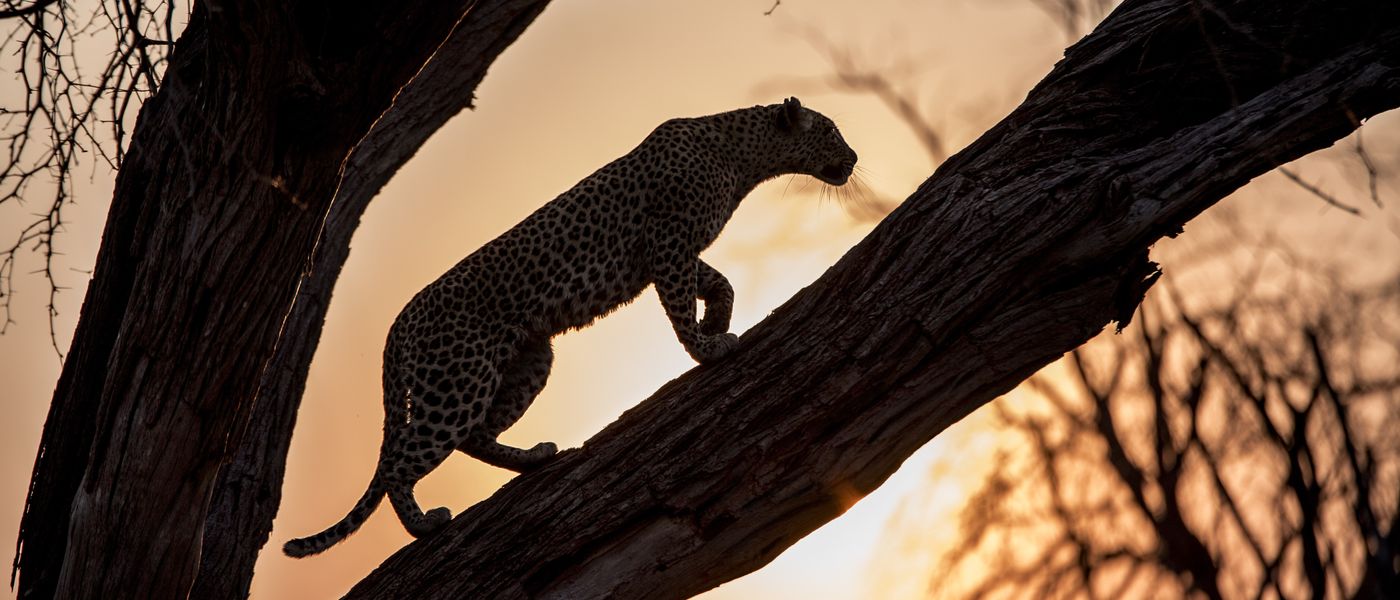 Botswana – Das wilde Herz Afrikas