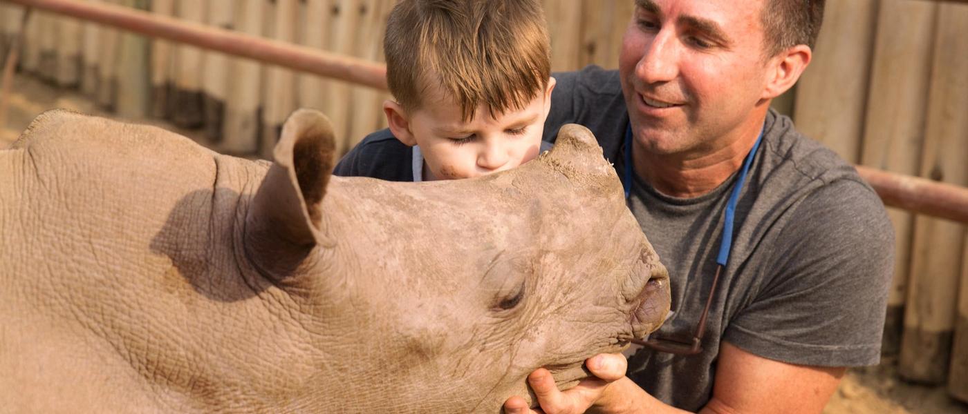 Managing Rhino Africa through Covid-19
