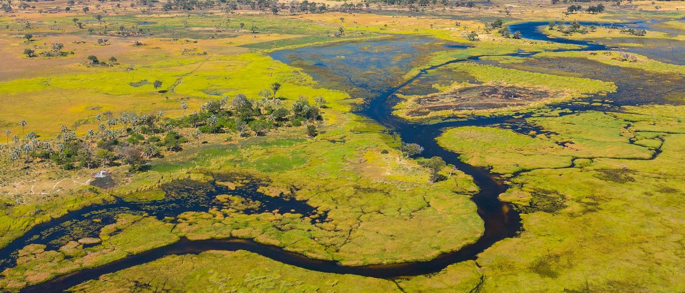 Where to Go to Experience the Ultimate African Safari