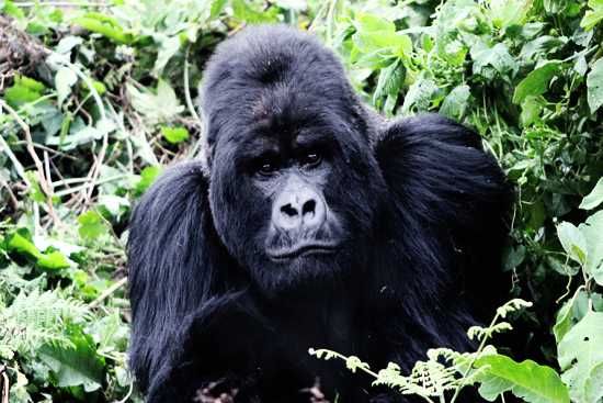 Behind the Lense - Billy Hare