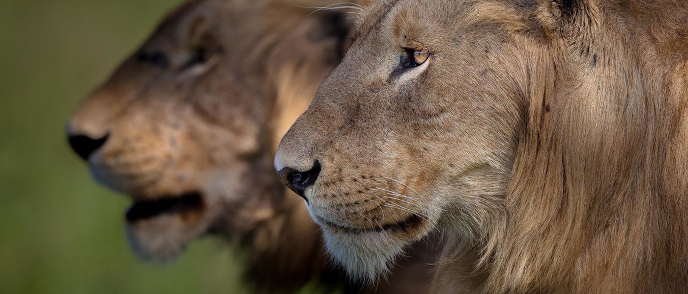 Africa’s Photographer of the Year 2021 Competition is Open