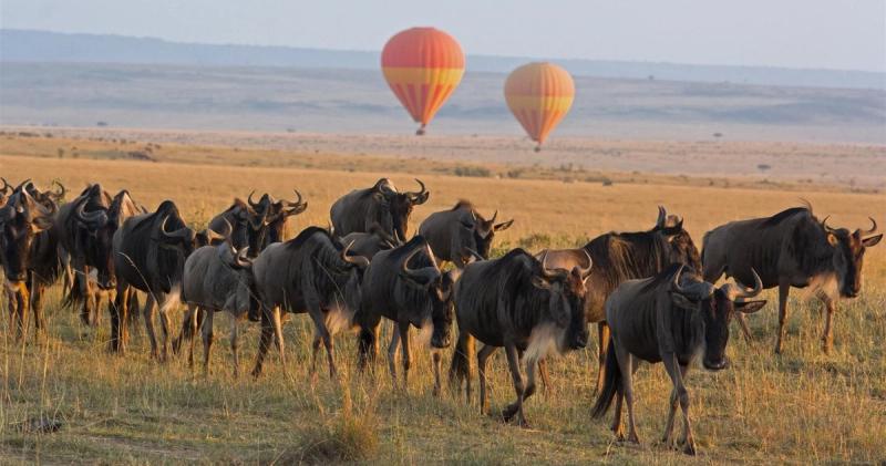 Hot air balloon safari in Maasai Mara National Park