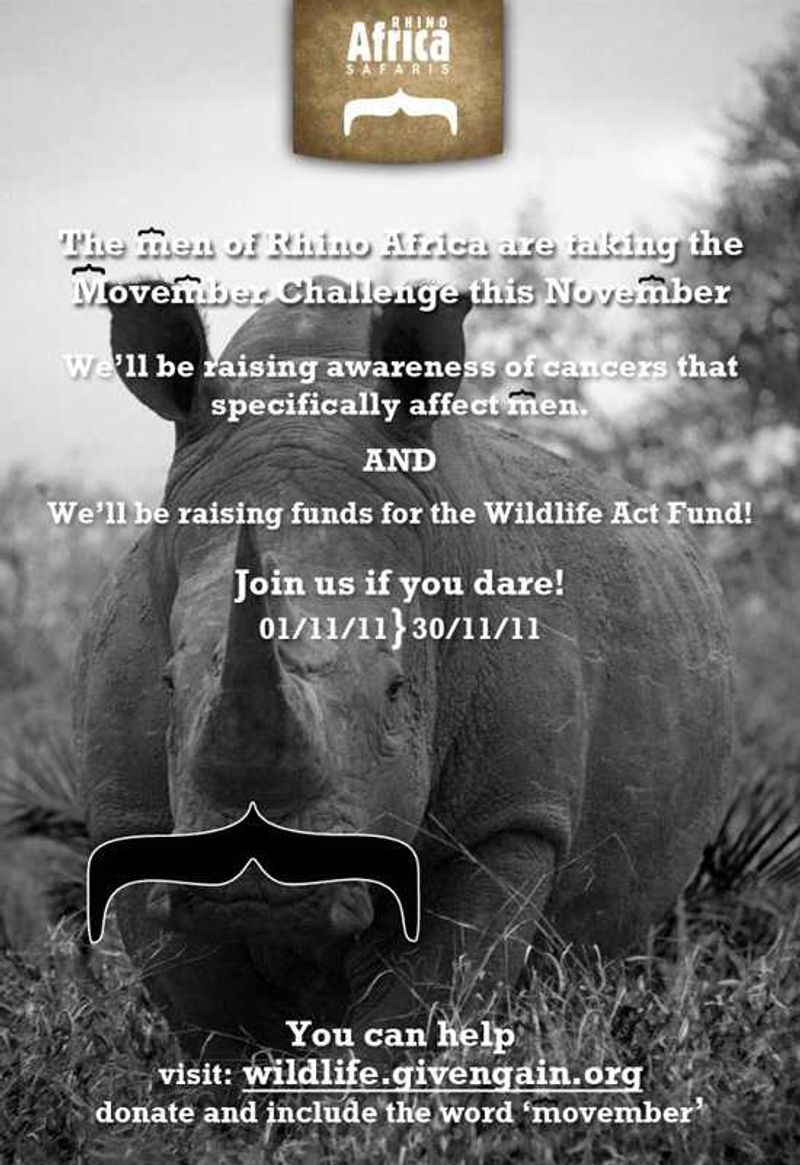 Rhino Africa has taken up the Movember challenge