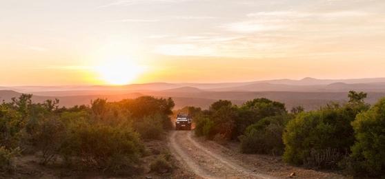 South Africa's Best Places For A Malaria-Free Safari