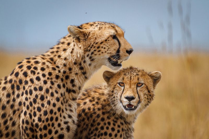 location-photography-tips